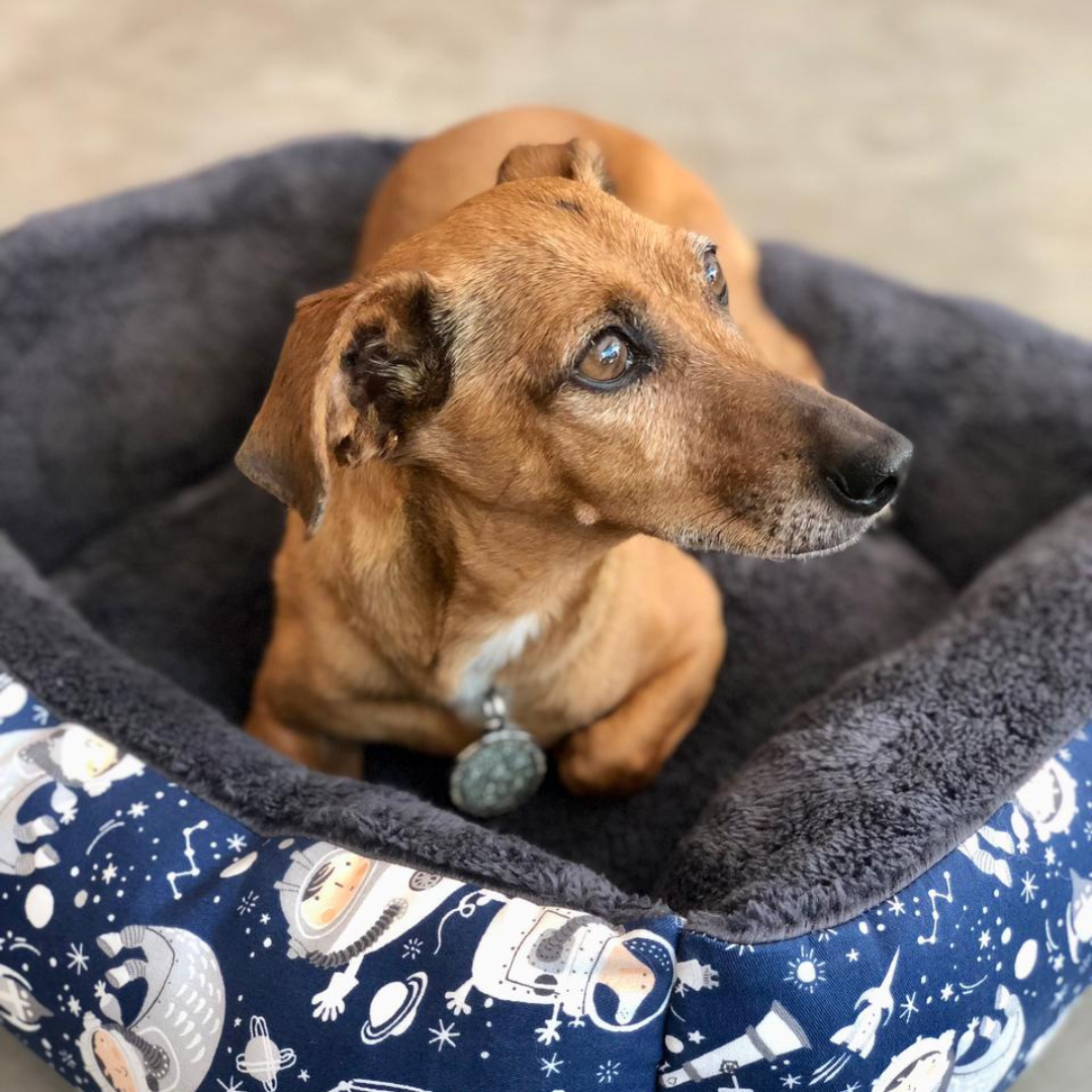 FOTOS SIARA CON CUNAS NUVOLE (5)